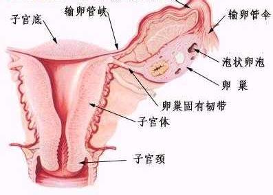 月经不调的护理要点